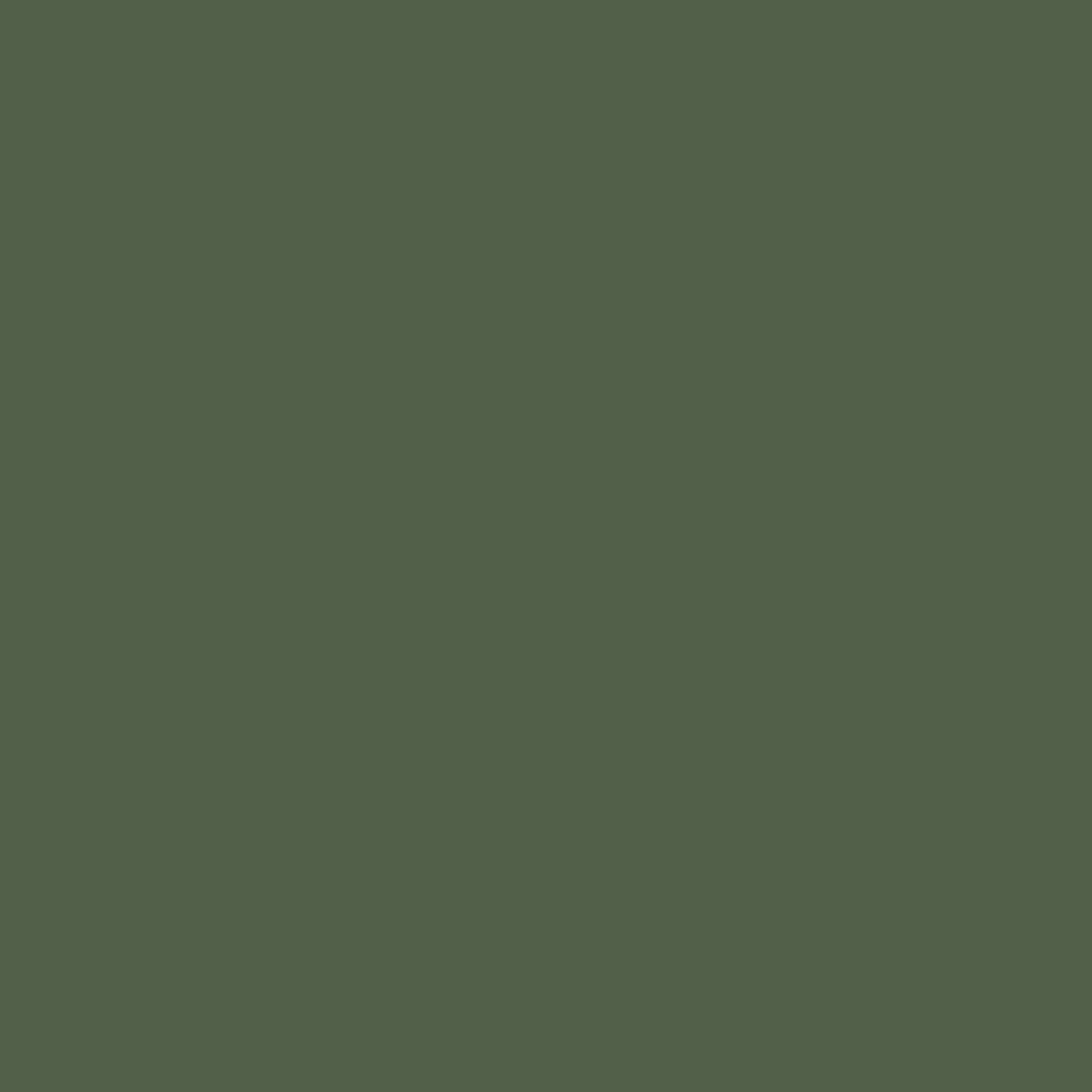 5061120142-swatch.jpg