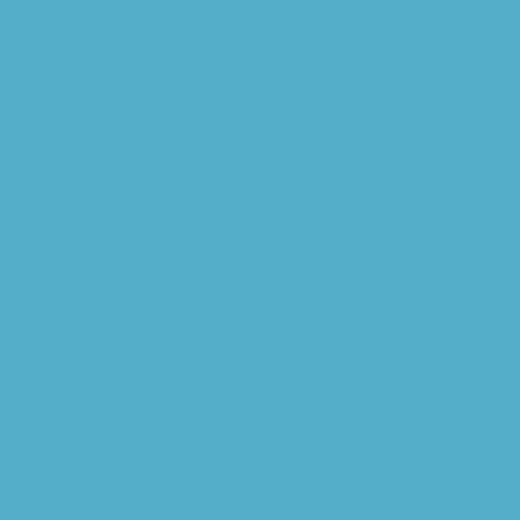 5254721359-swatch.jpg
